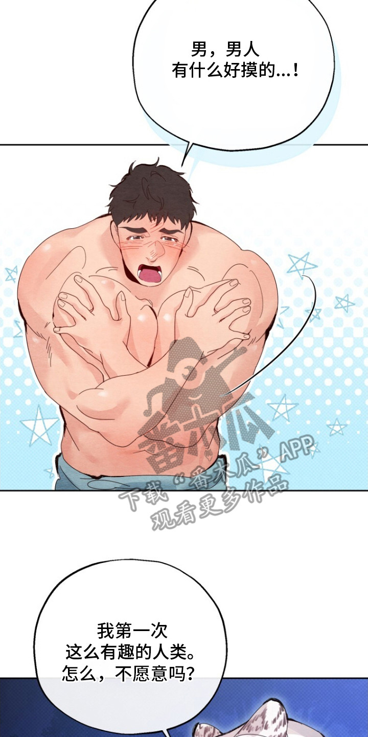 西柚《白虎夫君》漫画在线下拉_白虎夫君漫画浮云（下拉式阅读）