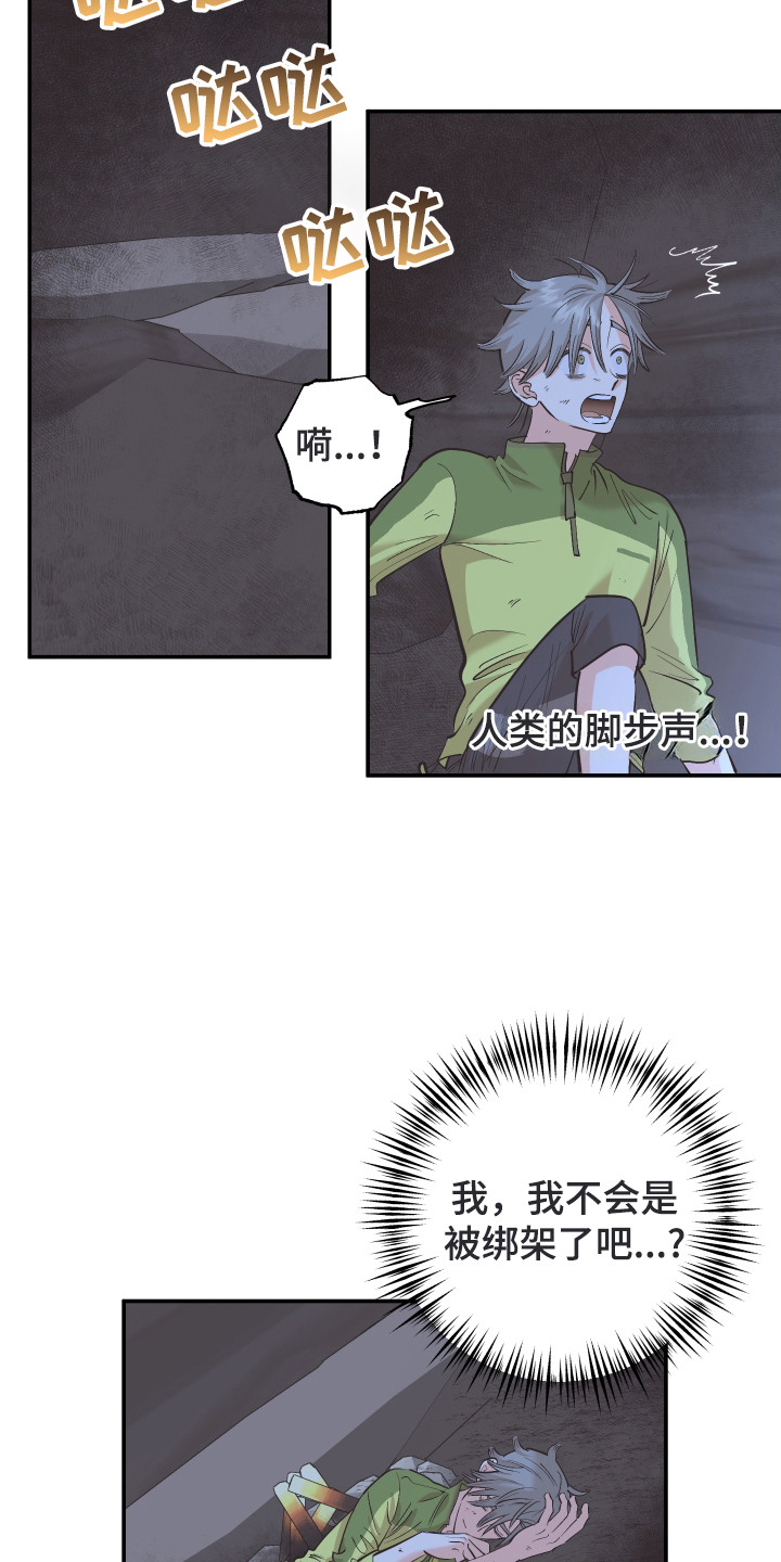 野人同居日志