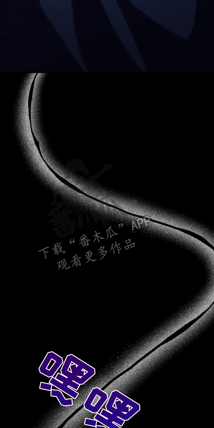 丈夫的隐秘指令