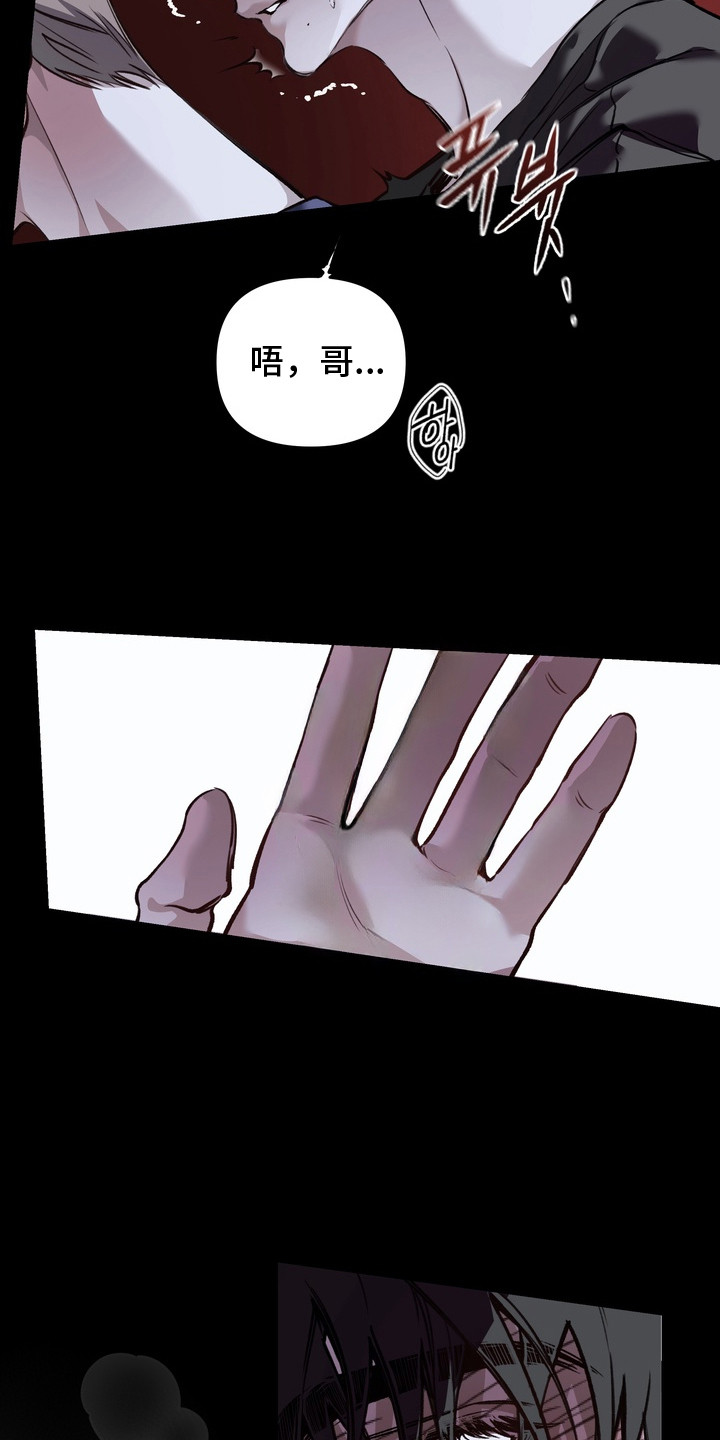 溺爱成枷