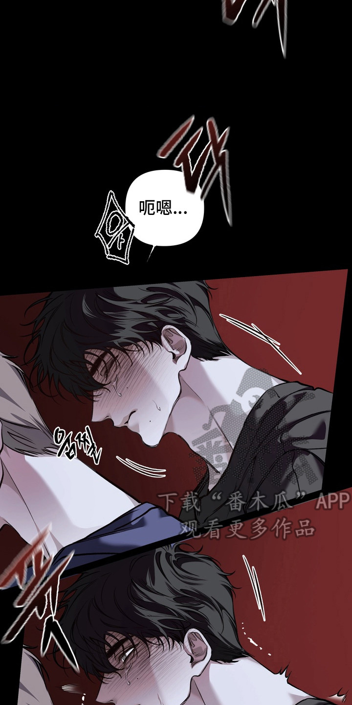 溺爱成枷
