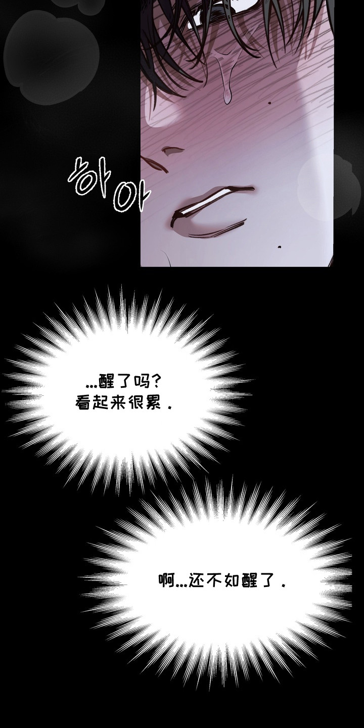 溺爱成枷