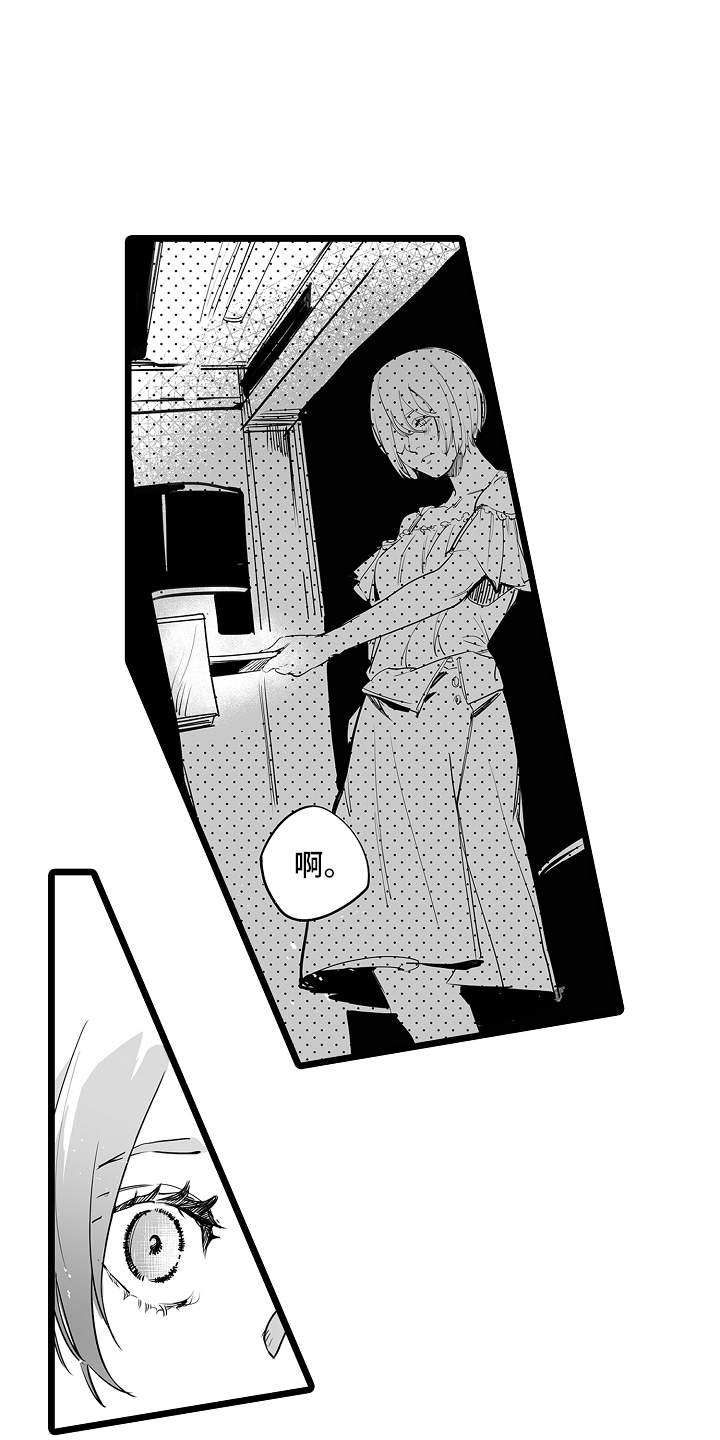 文学少女的负片