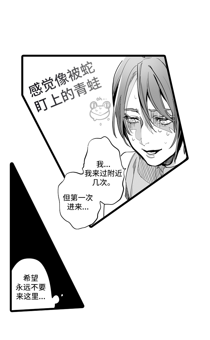 文学少女的负片
