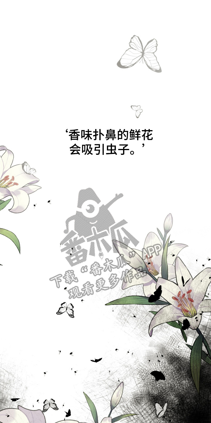 漫画《总裁的抵债情人》在线完整版阅读_总裁的抵债情人漫画（无弹窗）