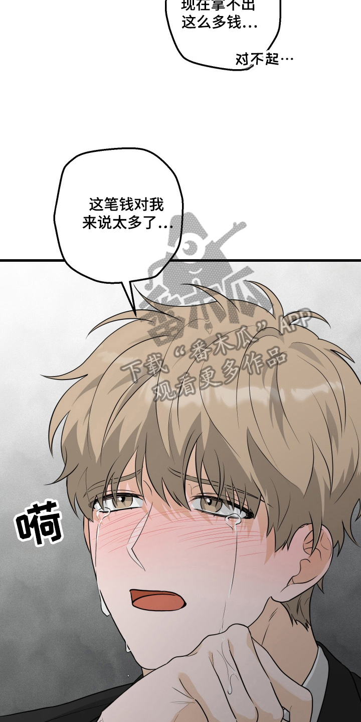 总裁的抵债情人