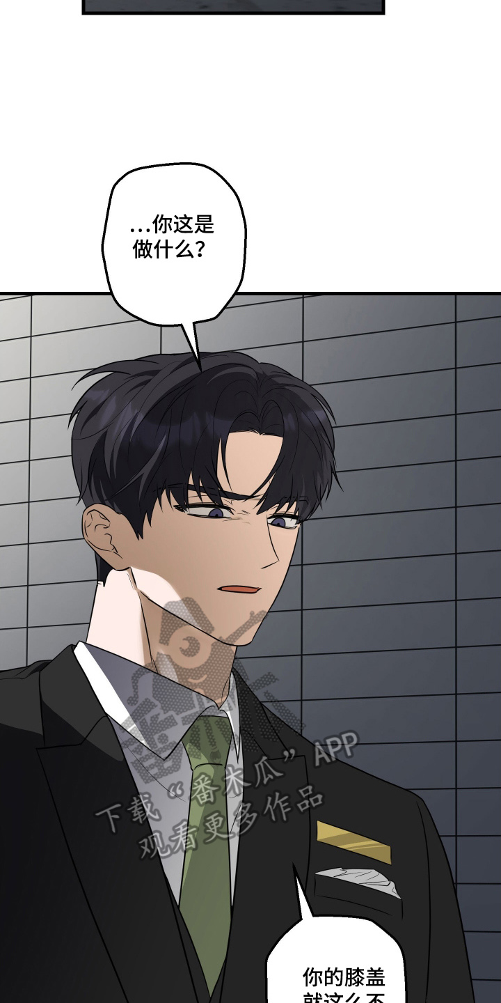 总裁的抵债情人