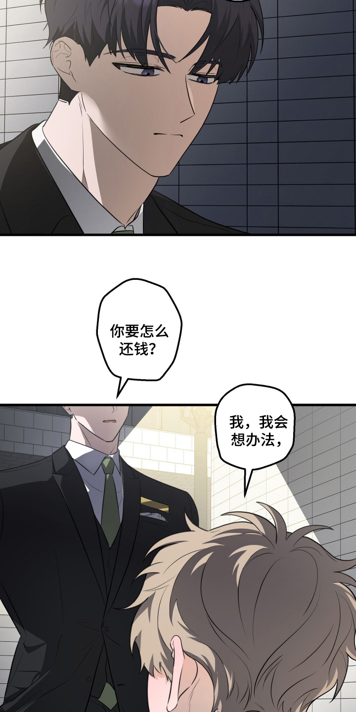 总裁的抵债情人