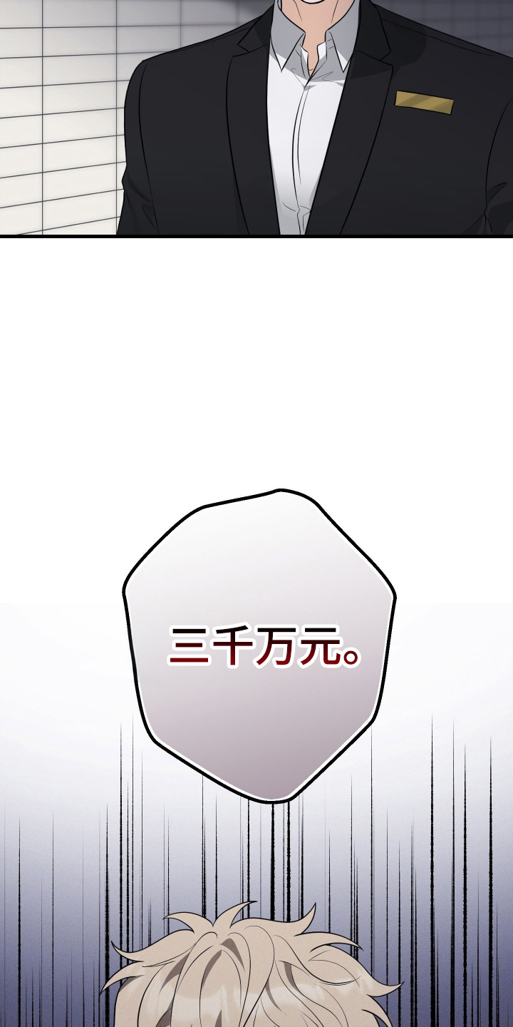 总裁的抵债情人