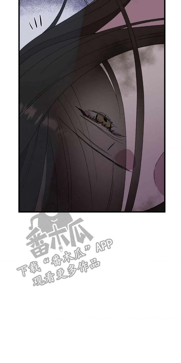 烙印之笼