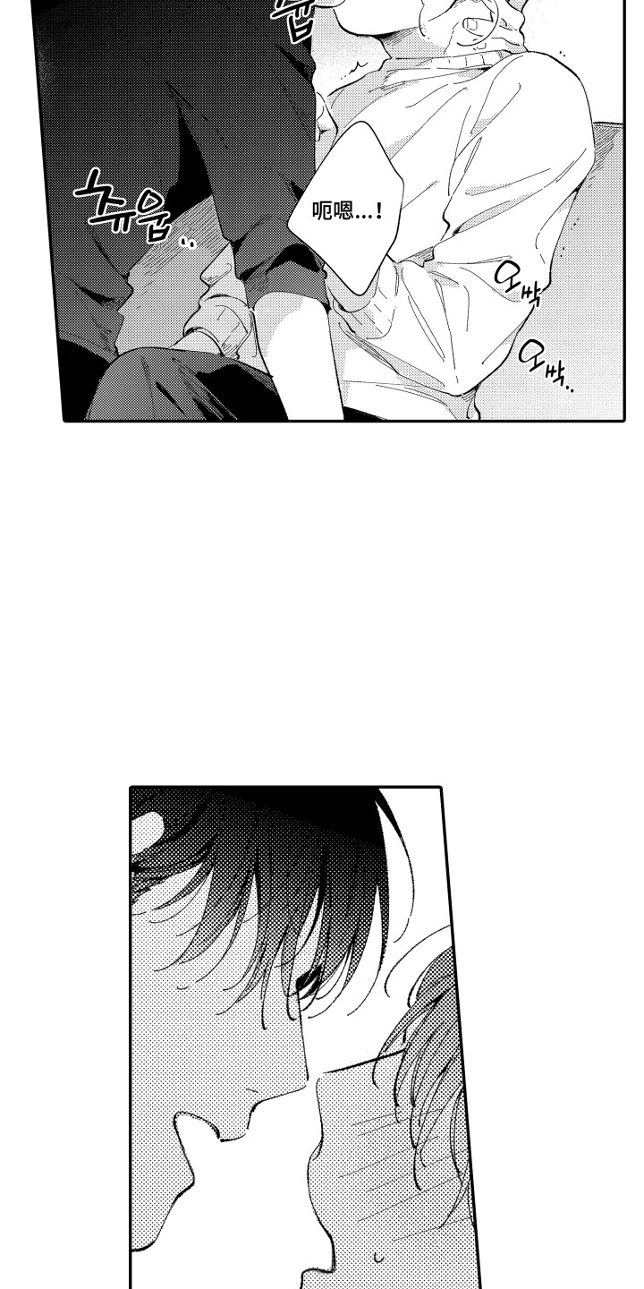 心音同频