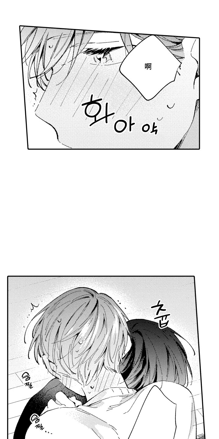 心音同频
