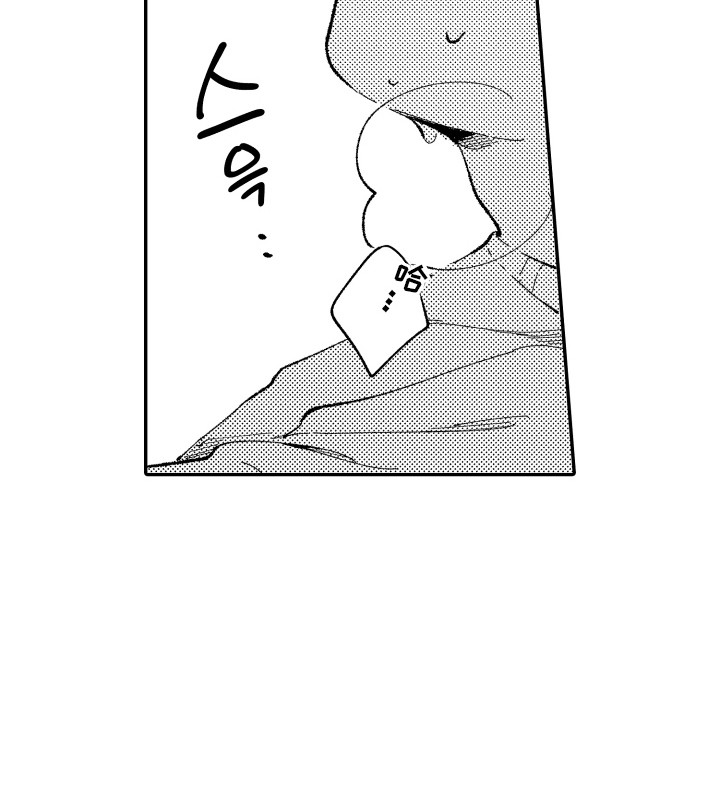 心音同频