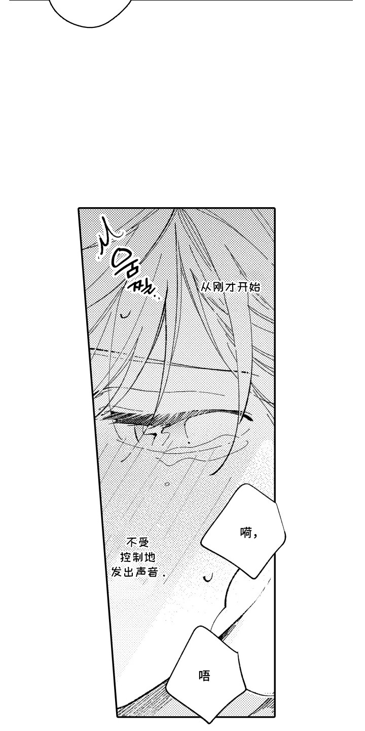 心音同频