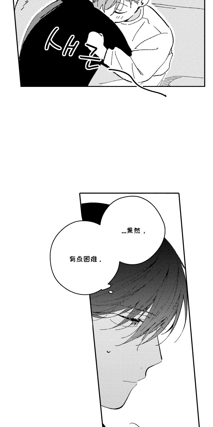 心音同频