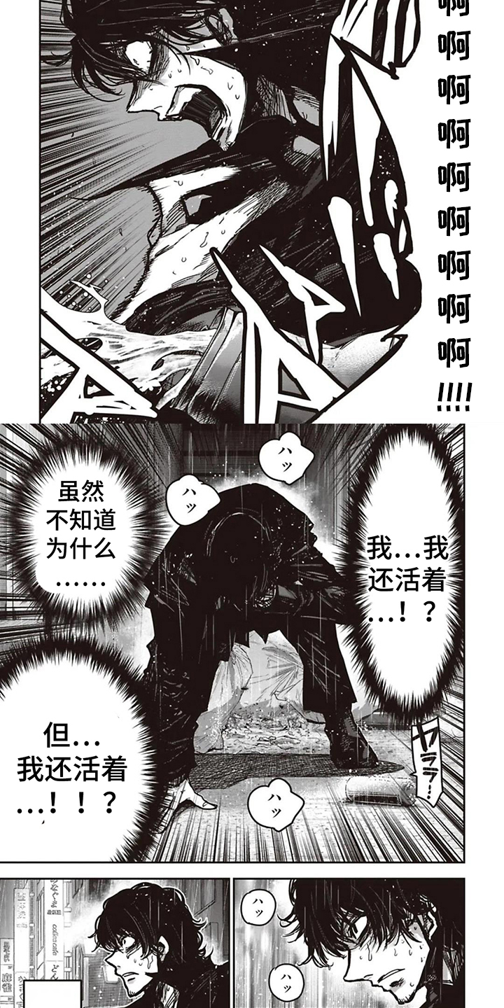 扑克狂潮