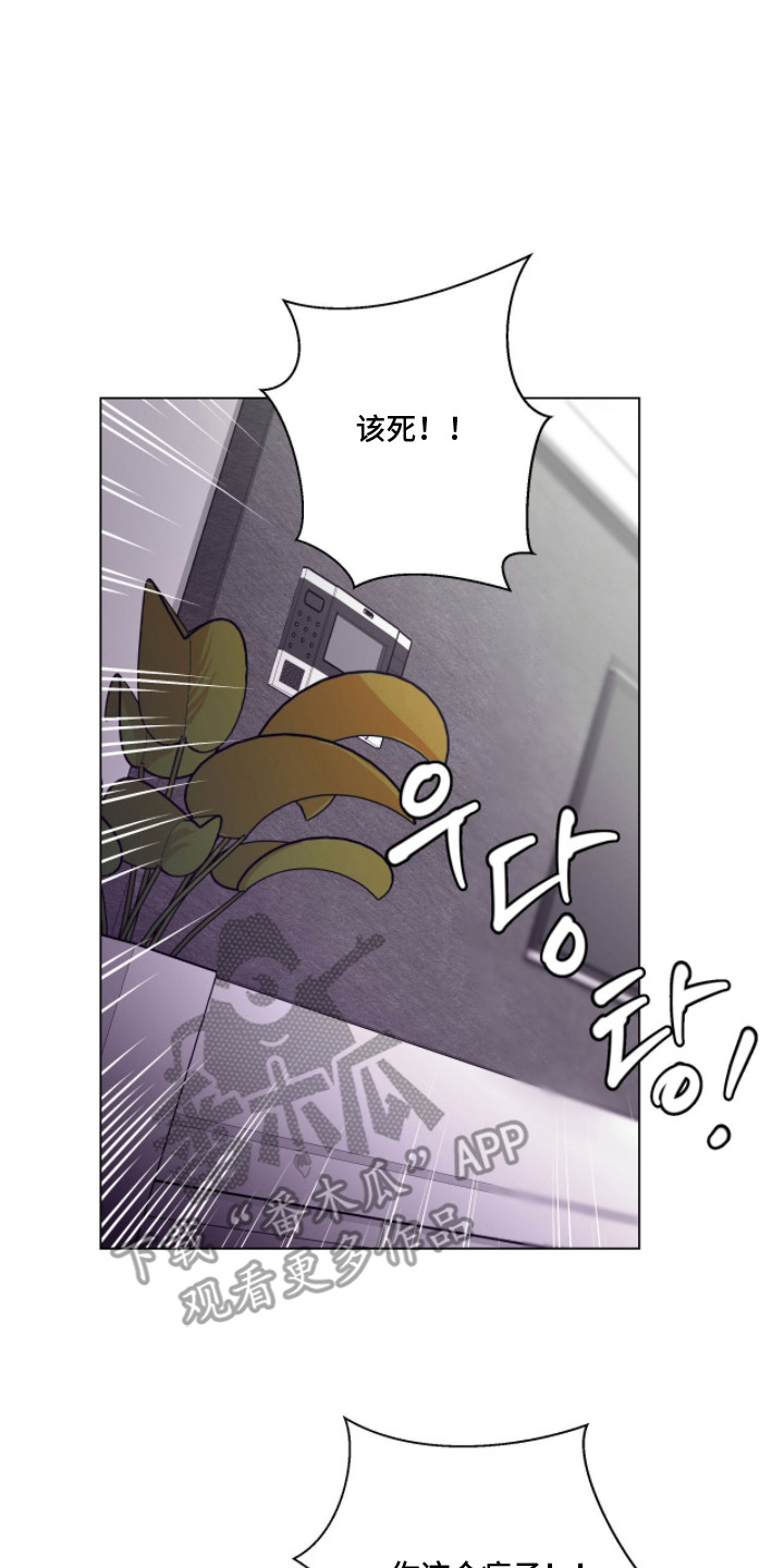 西柚《虎坠人间》漫画在线下拉_虎坠人间漫画浮云（下拉式阅读）