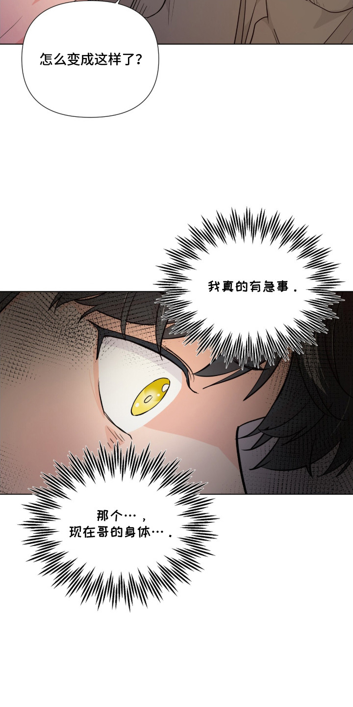 虎坠人间