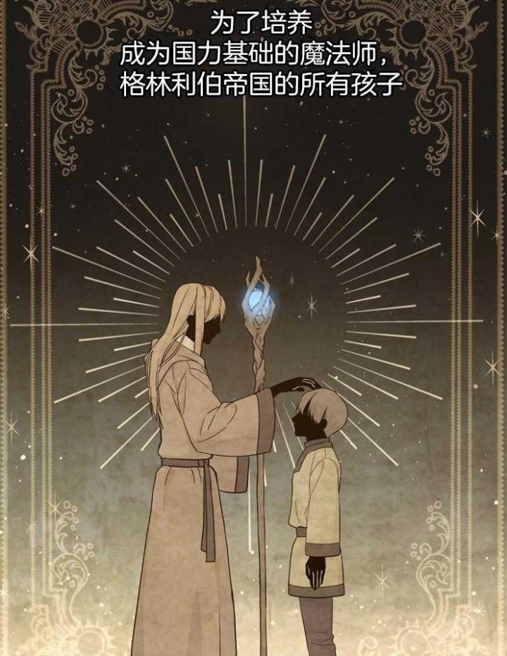 满级法师重回新手村