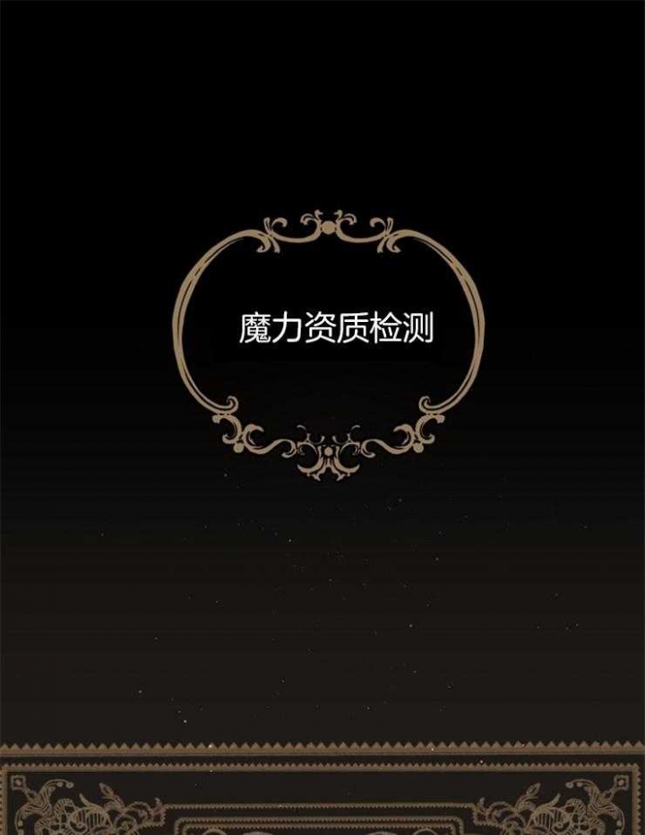 满级法师重回新手村