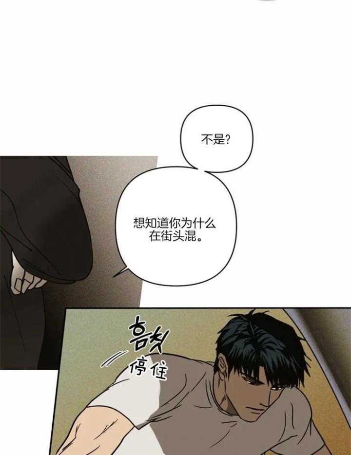 漫画《修车危情(第一季完结)》在线完整版阅读_修车危情(第一季完结)漫画（无弹窗）