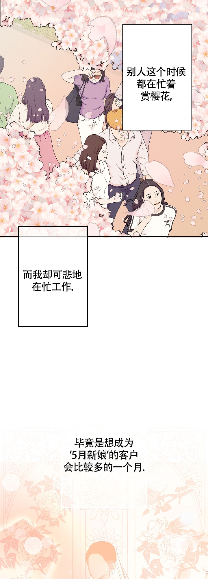 他和我的婚礼计划