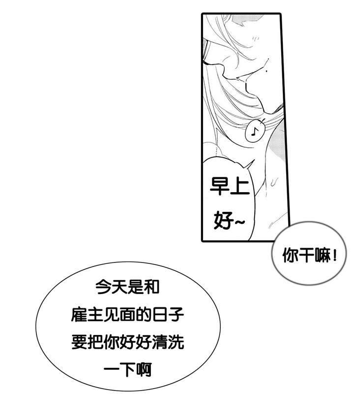 西柚《撒哈拉沙漠的黑鹰》漫画在线下拉_撒哈拉沙漠的黑鹰漫画浮云（下拉式阅读）