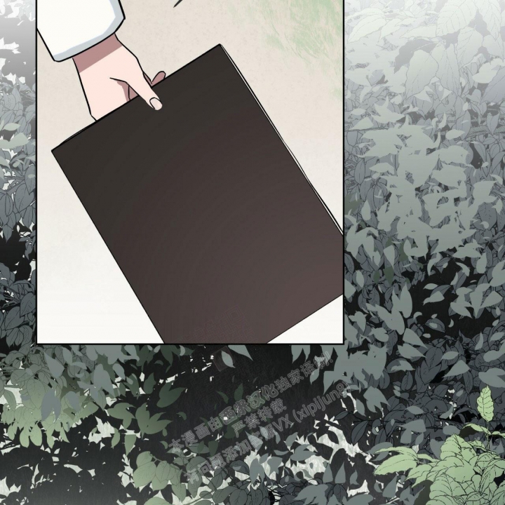 西柚《森林之海》漫画在线下拉_森林之海漫画浮云（下拉式阅读）