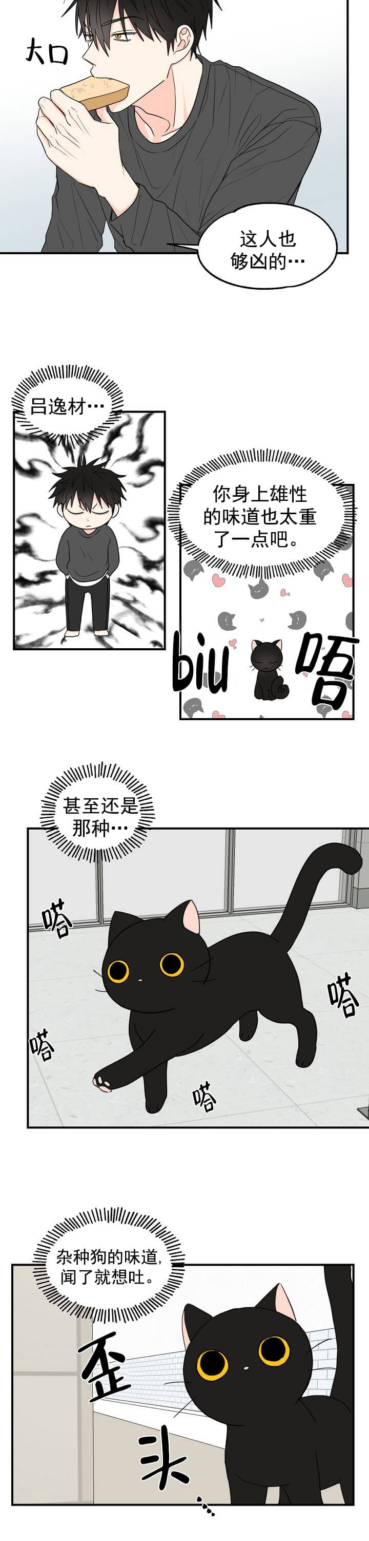 幸运从猫猫开始