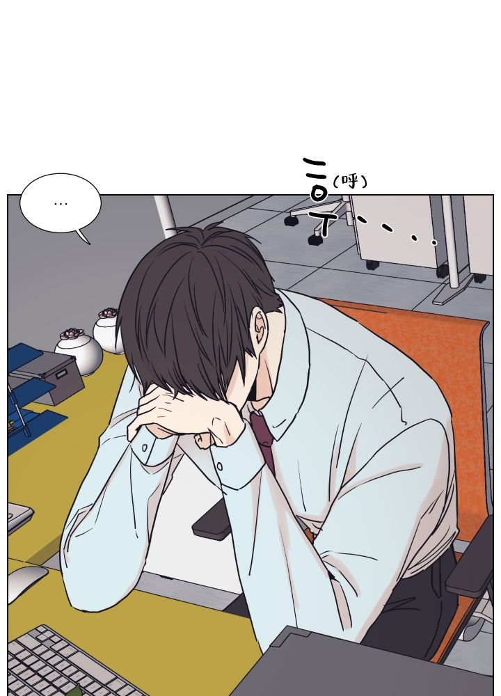 漫画《金代理的规则》在线完整版阅读_金代理的规则漫画（无弹窗）