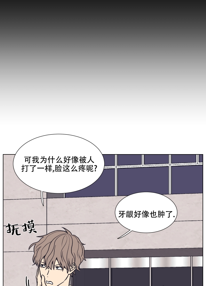 漫画《金代理的规则》在线完整版阅读_金代理的规则漫画（无弹窗）