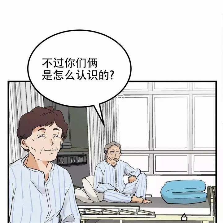 青春的终极爱情