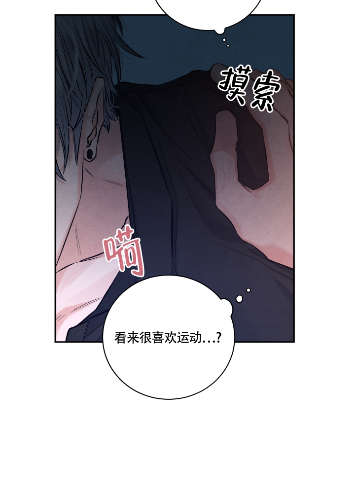 漫画《降落的流星》在线完整版阅读_降落的流星漫画（无弹窗）