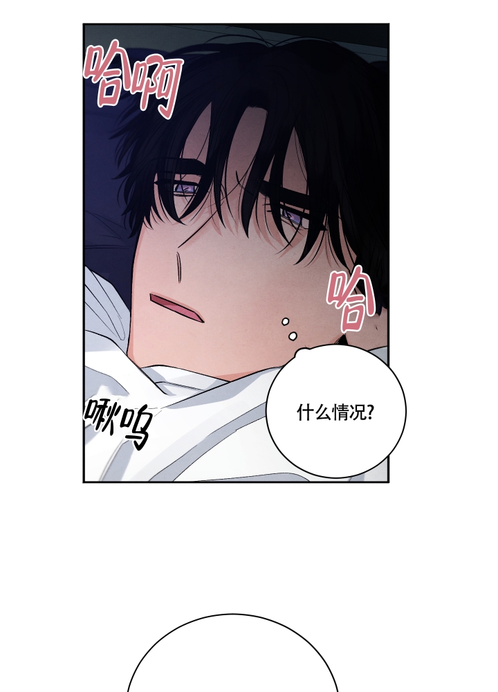 漫画《降落的流星》在线完整版阅读_降落的流星漫画（无弹窗）
