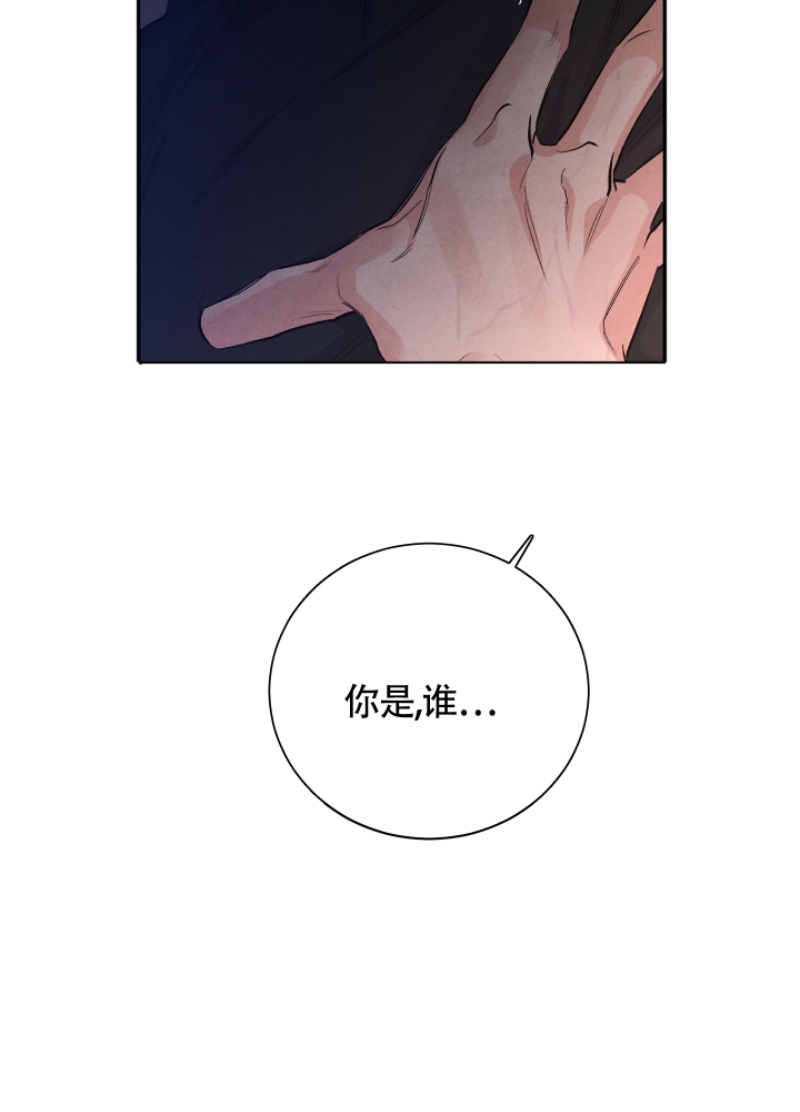 漫画《降落的流星》在线完整版阅读_降落的流星漫画（无弹窗）