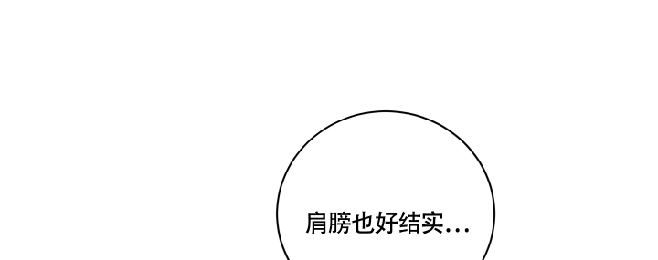 漫画《降落的流星》在线完整版阅读_降落的流星漫画（无弹窗）