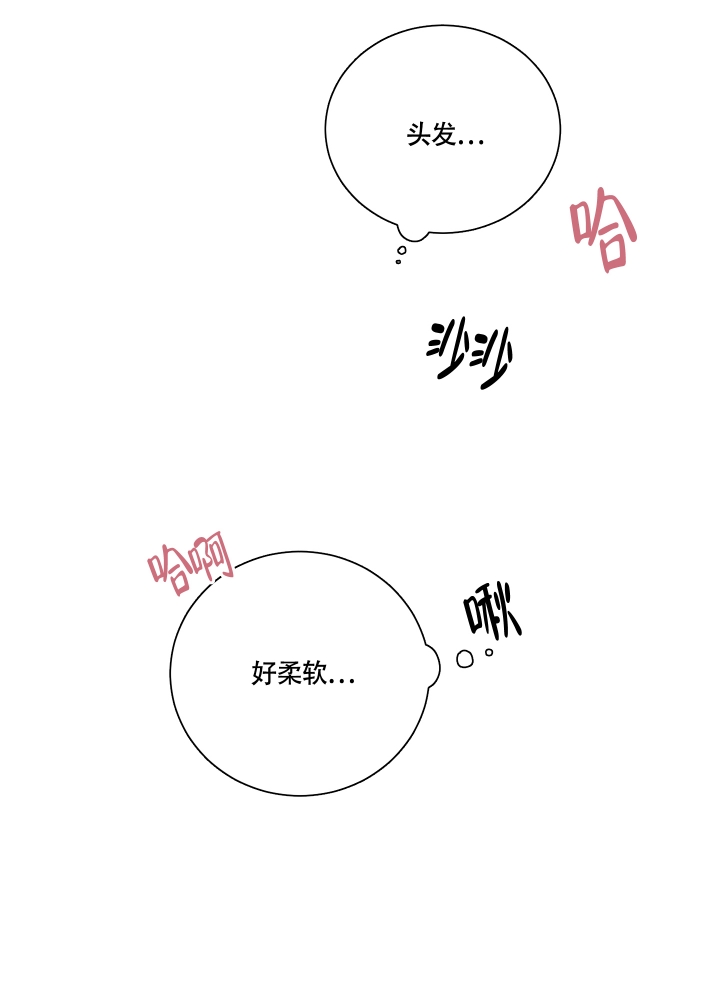 漫画《降落的流星》在线完整版阅读_降落的流星漫画（无弹窗）