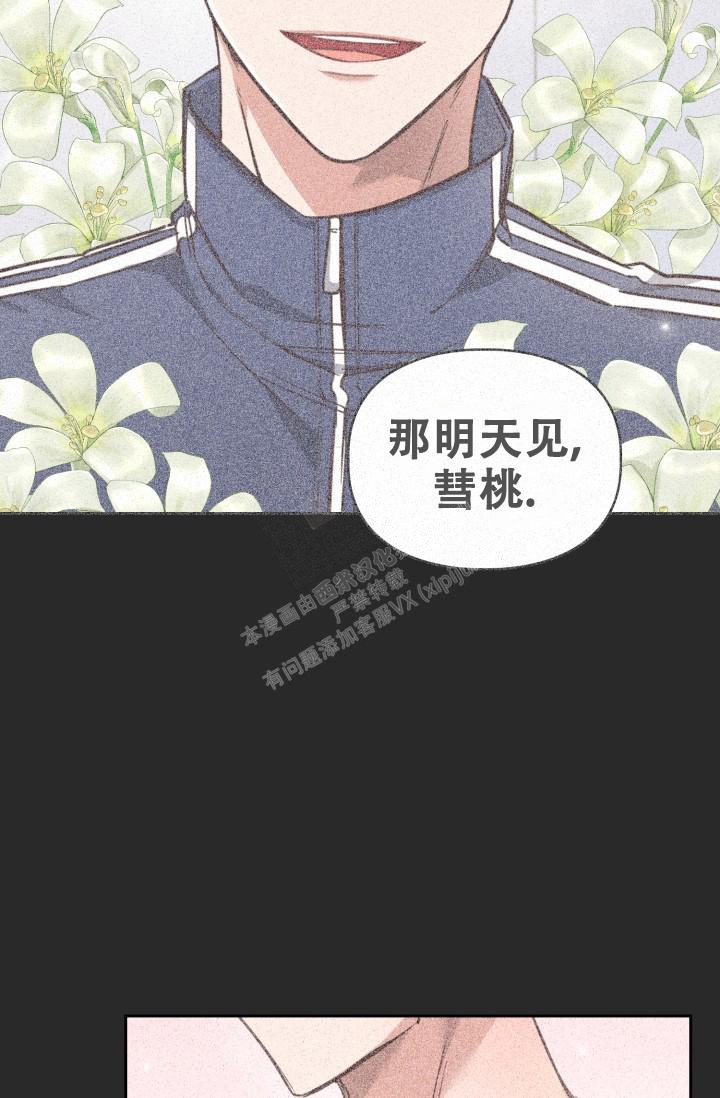 漫画《明月堂》在线完整版阅读_明月堂漫画（无弹窗）