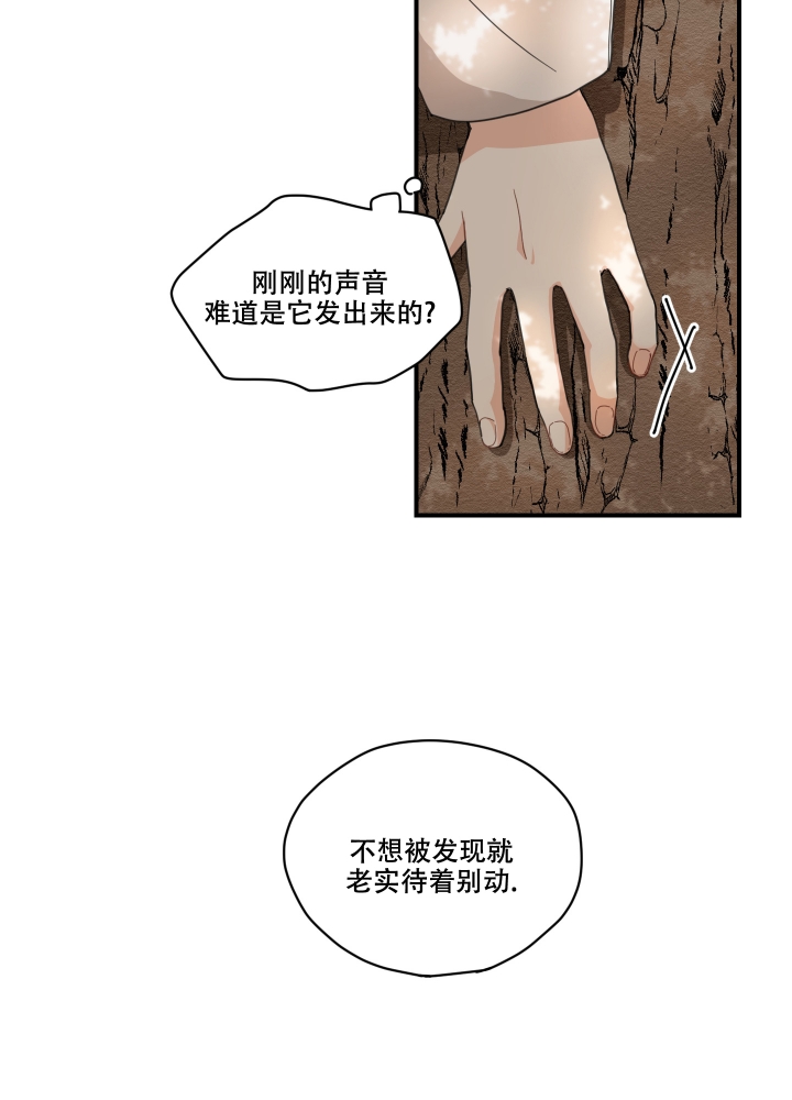 漫画《铺满金钟花的路》在线完整版阅读_铺满金钟花的路漫画（无弹窗）