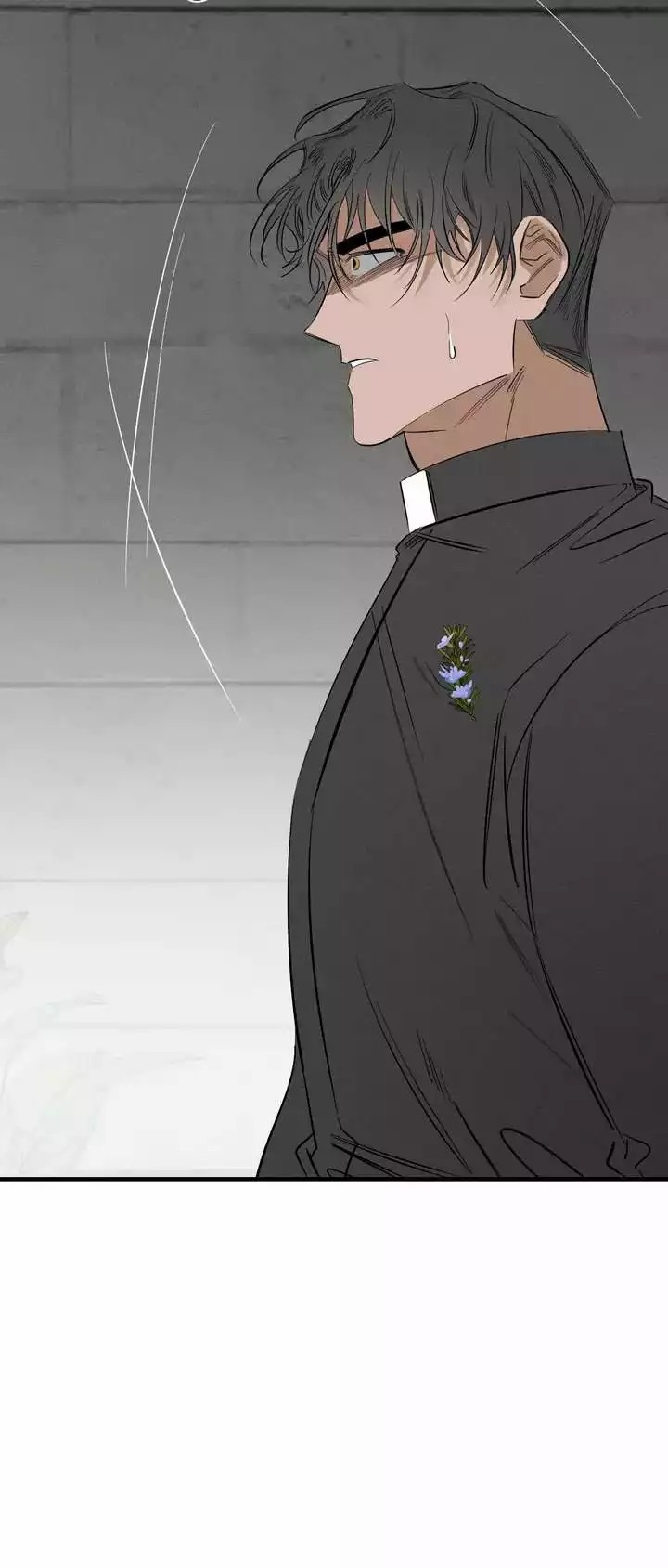 西柚《邪花》漫画在线下拉_邪花漫画浮云（下拉式阅读）